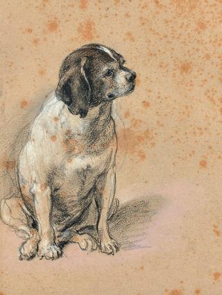 Portrait of  a Dog Sitting
