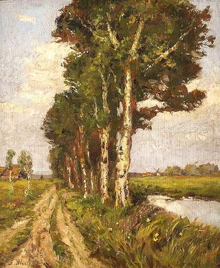 Birch lane in Moor