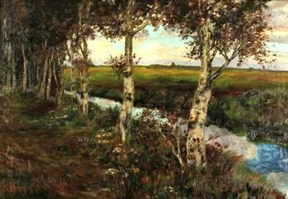 Moor ditch with Birches
