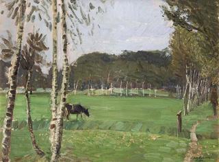 A cow in a meadow