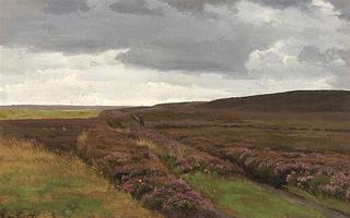 Moor landscape with rain on the way