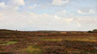 Moor Landscape from Himmerland
