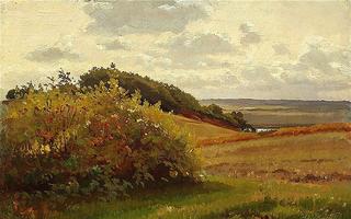 Moor landscape with a flowering bush