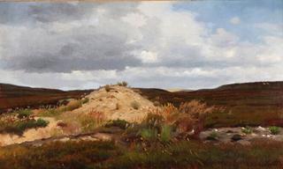 A Hilly Moor