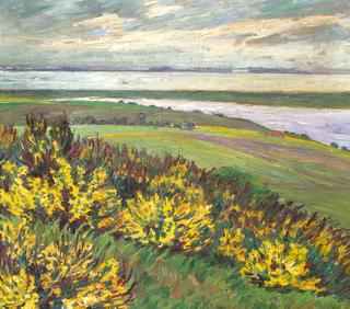 Broom Grass