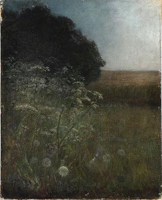 有灌木丛、花边和蒲公英的景观