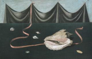 Shell and Drape