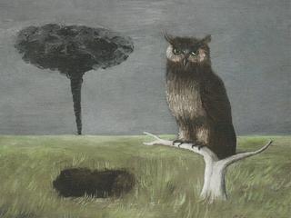 Owl and Tormado