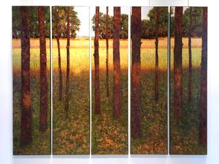 In a Woods