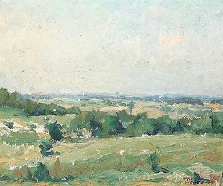 Summer Meadows