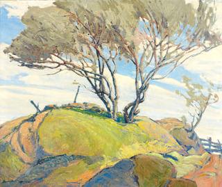 Ward's Willows