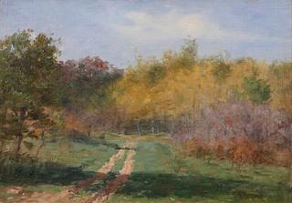 Path through the Woods