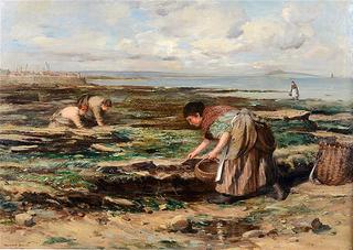 Gathering Cockles