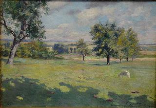 Summer Landscape