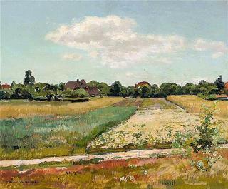 Field in Bloom