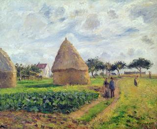 Haystacks and cabbage patch