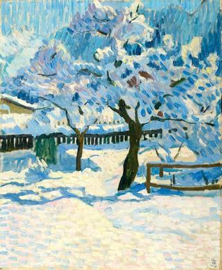 Winter in the Garden