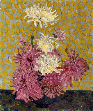 Winteraster