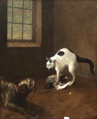 Dog and Cat with a Pigeon