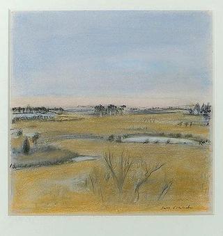 Hampton bogs