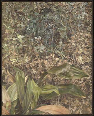 Two plants