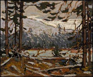Woodland Interior, Algonquin Park
