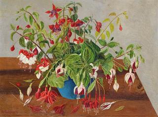 Bunch of Fuchsias in a Blue Vase