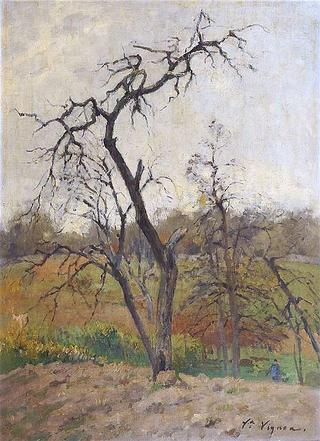 Rural Scene