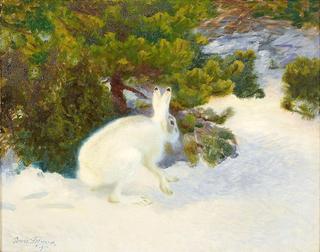 Hare in a Winter Landscape