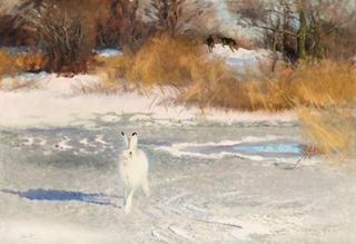 Hare in a Winter Landscape