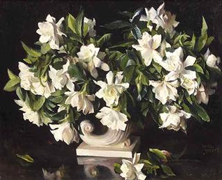 Gardenias