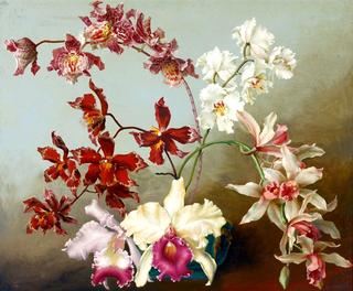 Still Life With Orchids