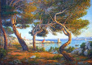 Les Pins, Effet De Soleil À Saint-Honorat