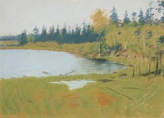 A Grey Day at Ralph's