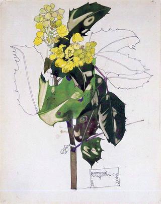 Burberis, Walberswick