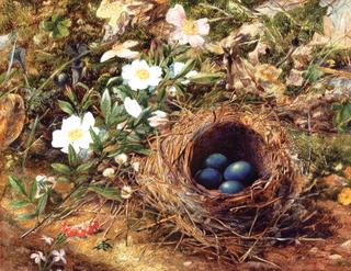 Bird's Nest and Dog Roses
