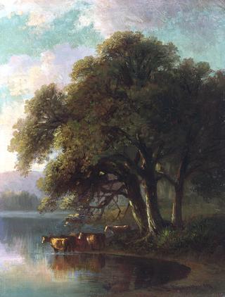 Evening in the White Mountains
