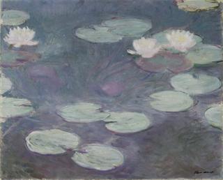 Water lilies