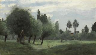 Prairie on the edge of the Scarpe, near Arras