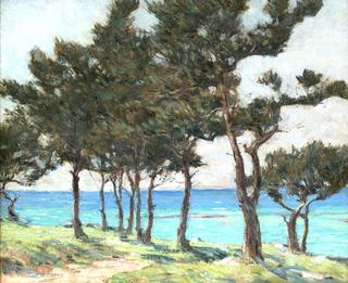 Cedar Trees at Whale Bay