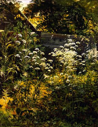 Corner of an Overgrown Garden