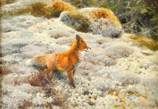 Fox in a Landscape