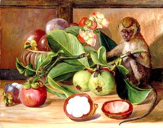 Flowers and Fruit of the Mangosteen, and a Singapore Monkey