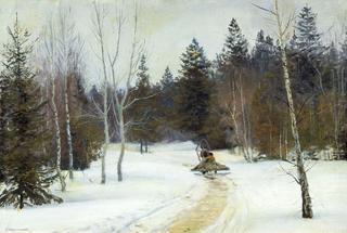 Winter in the Forest