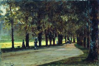 Alley in the Park