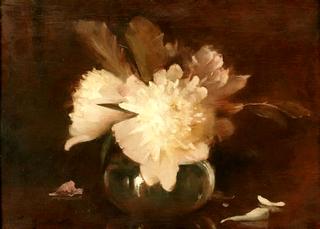 Peonies
