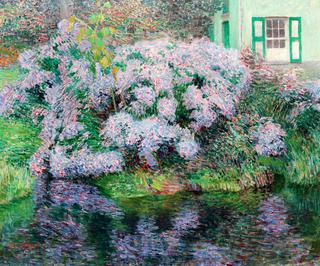 Hydrangeas on the banks of the riverLys