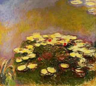 Water-Lilies