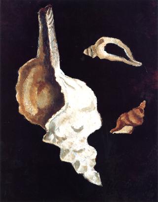 Three Shells