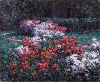 The Phlox Garden